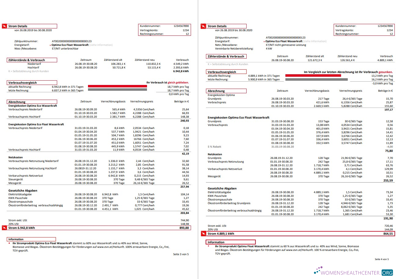 download download Austria EVN electricity utility bill 5 pages 3 4